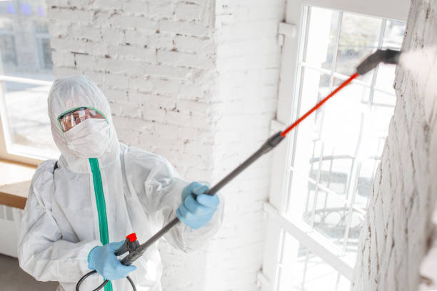 Best Biohazard Mold Removal  in Upper Fruitland, NM