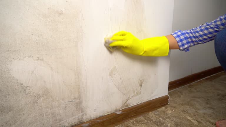 Best Dehumidification Services  in Upper Fruitland, NM
