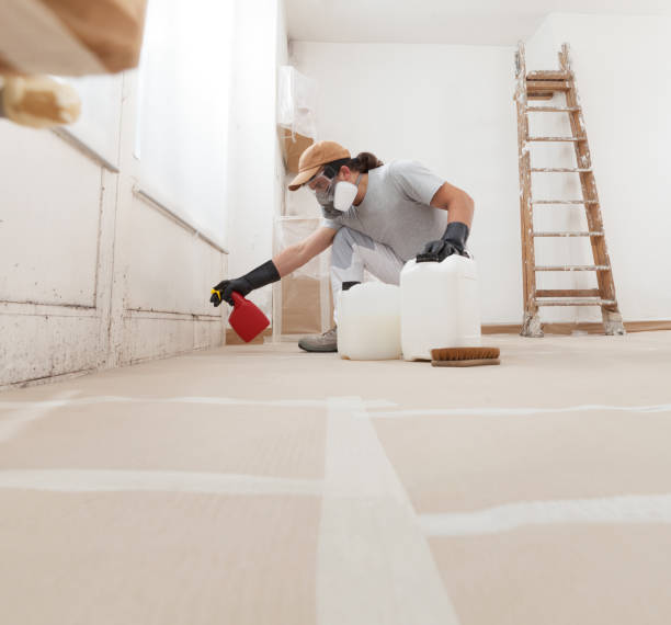 Best Post-Construction Mold Inspection  in Upper Fruitland, NM